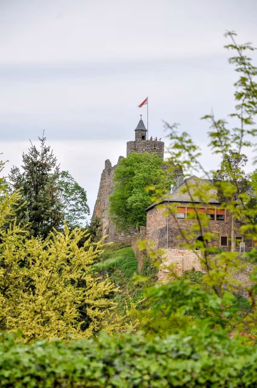 Bild der Unterkunft