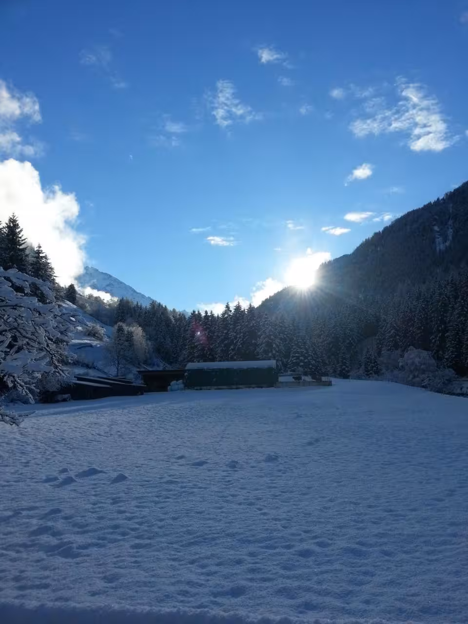 Bild der Unterkunft
