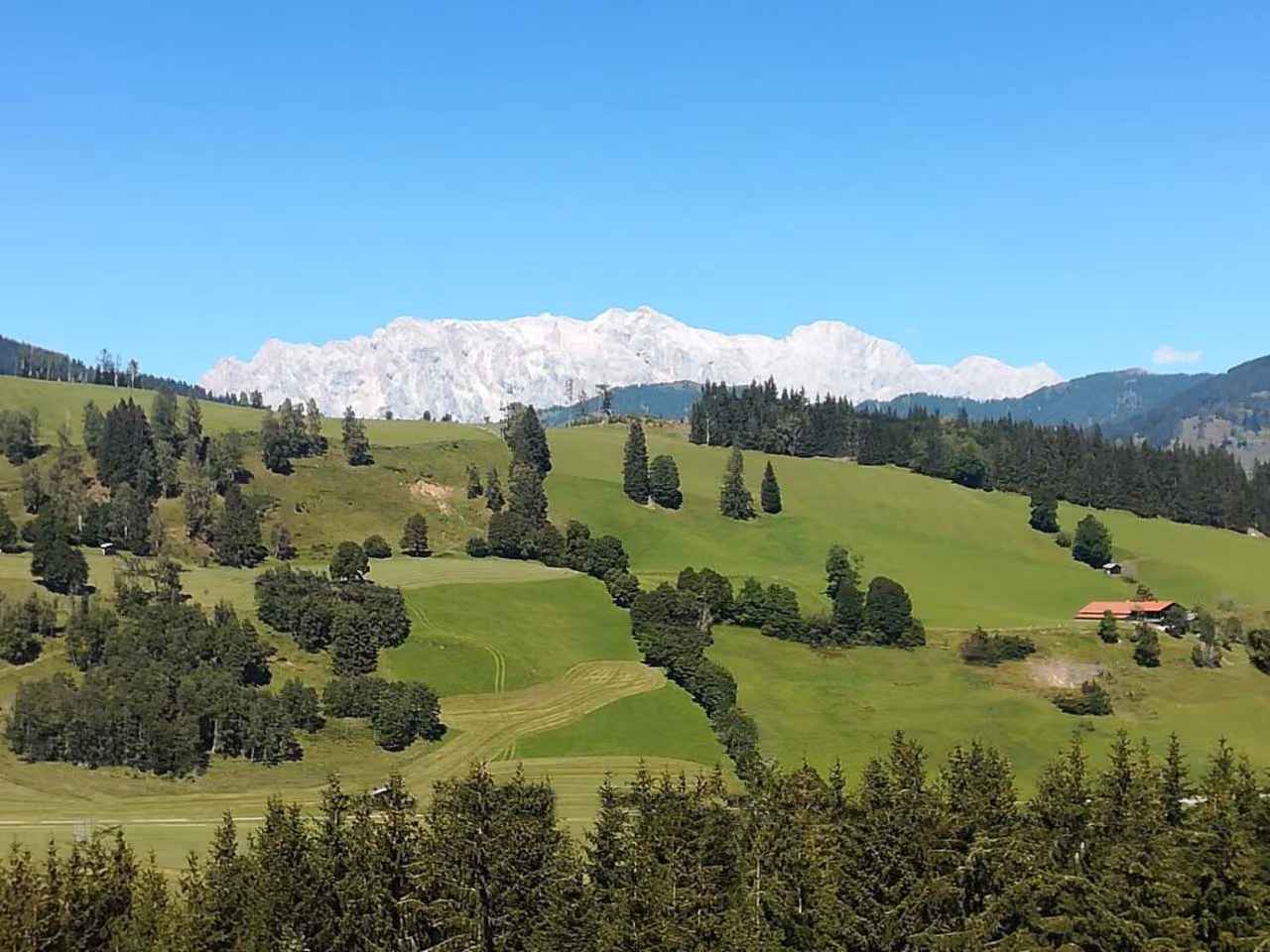 Bild der Unterkunft
