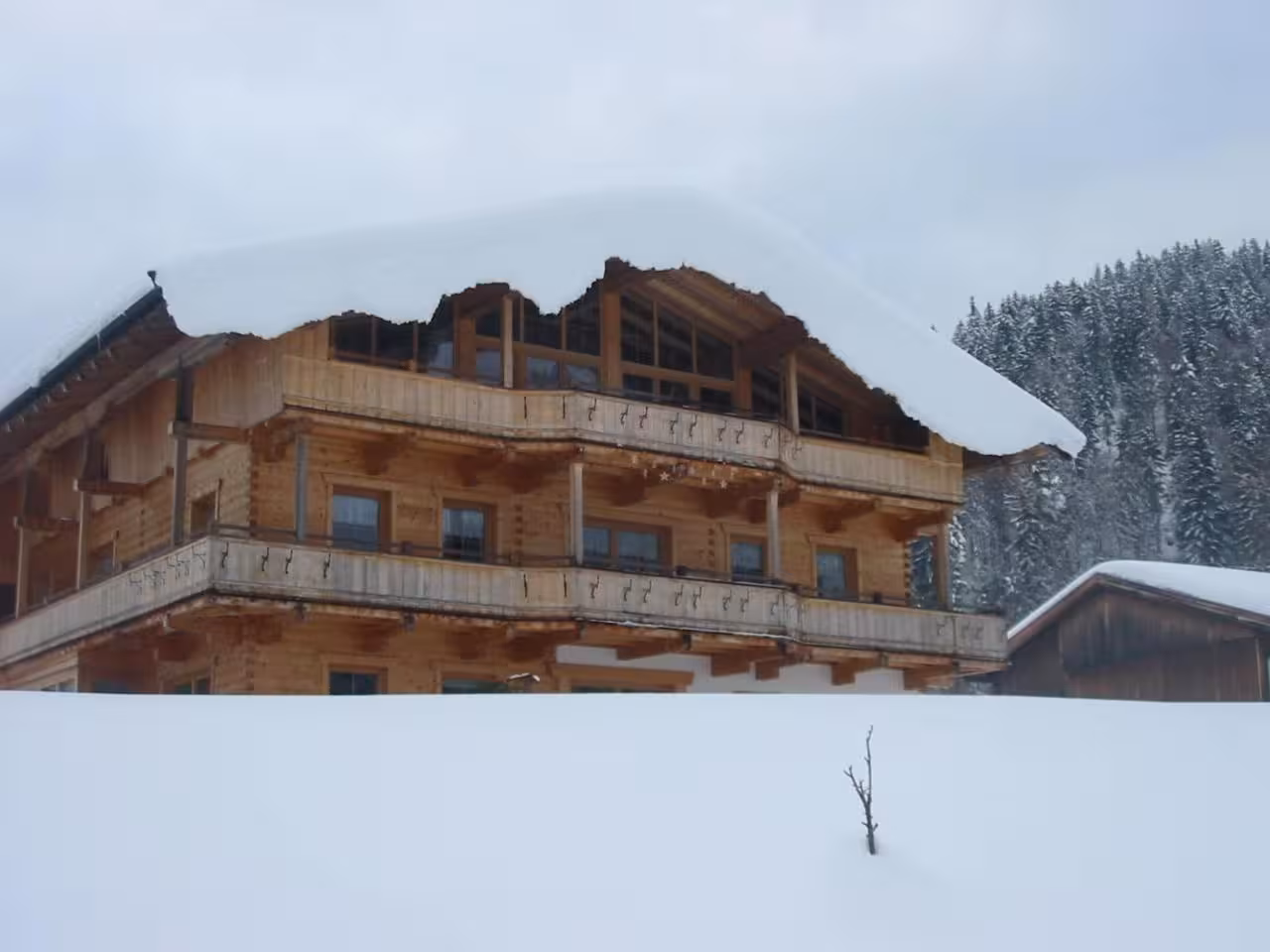 Bild der Unterkunft
