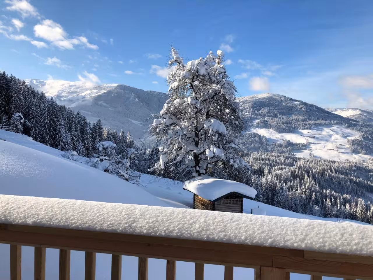 Bild der Unterkunft