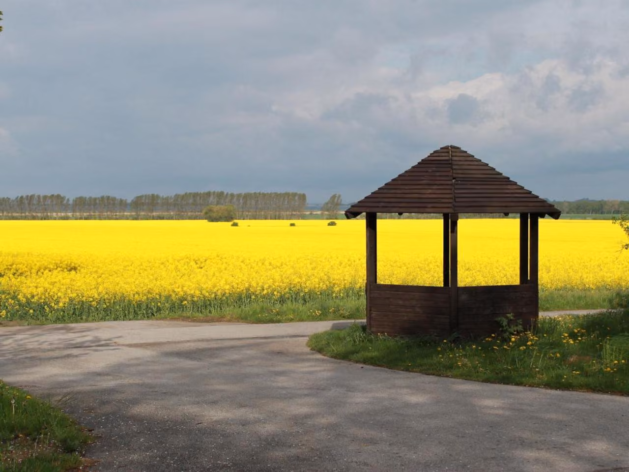 Bild der Unterkunft