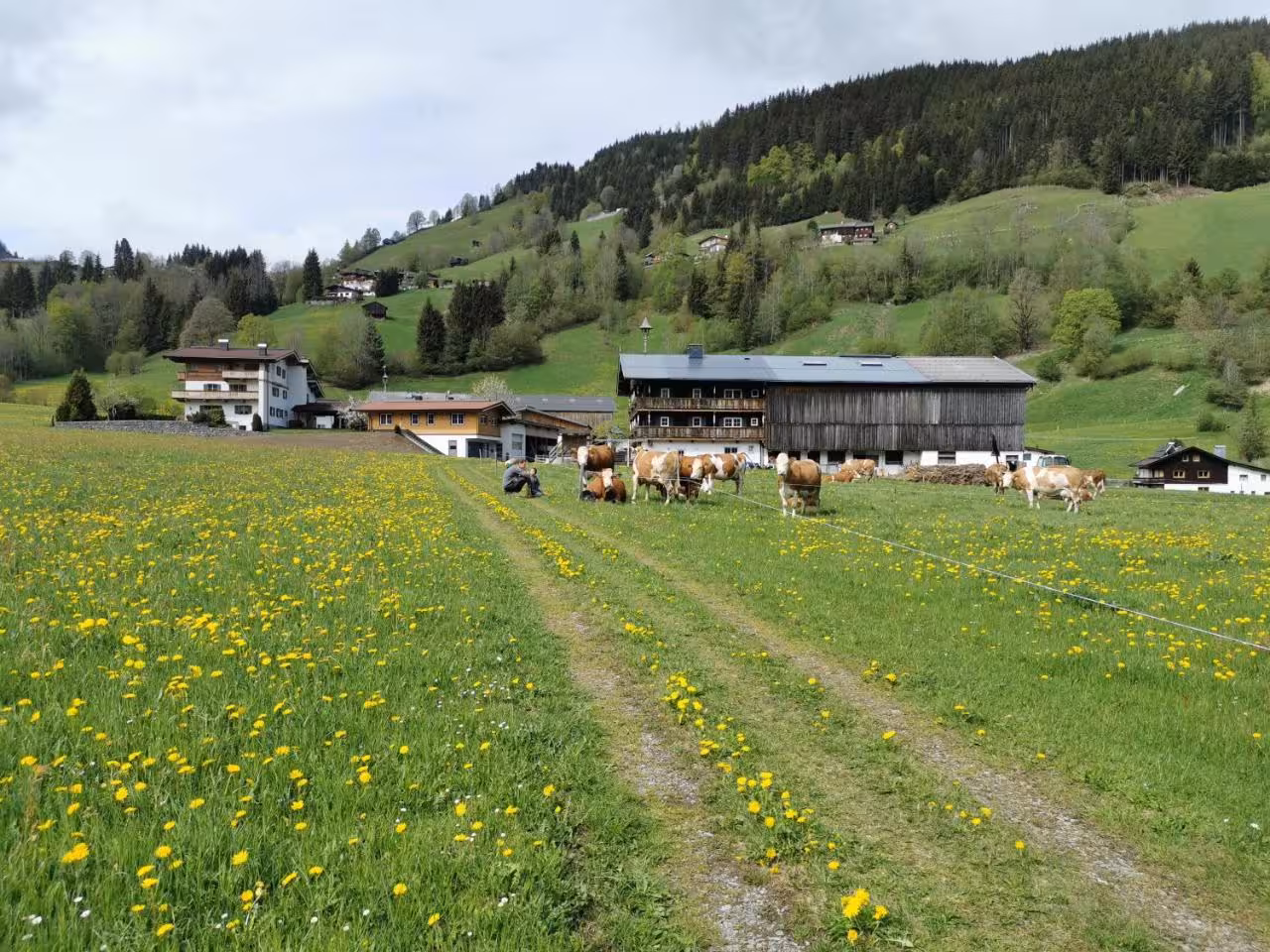 Bild der Unterkunft