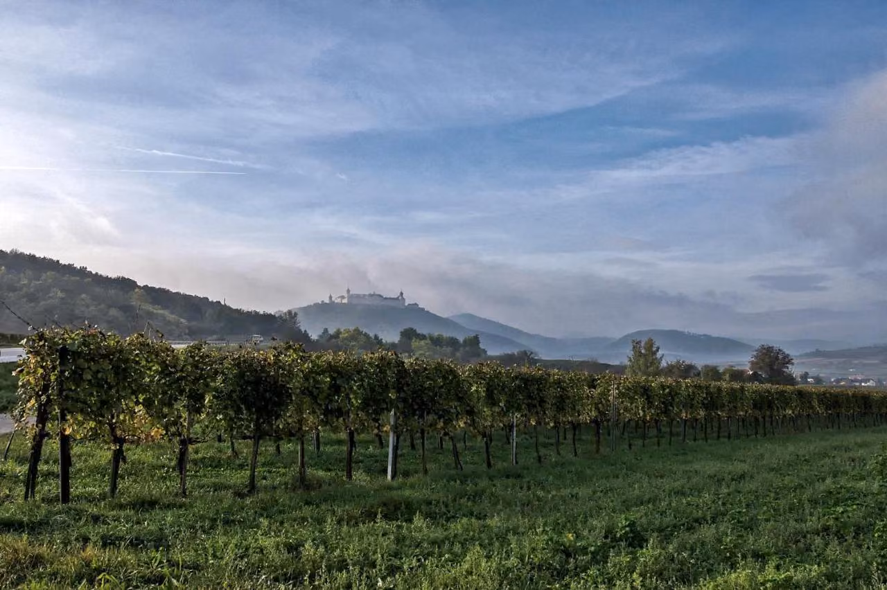 Bild der Unterkunft