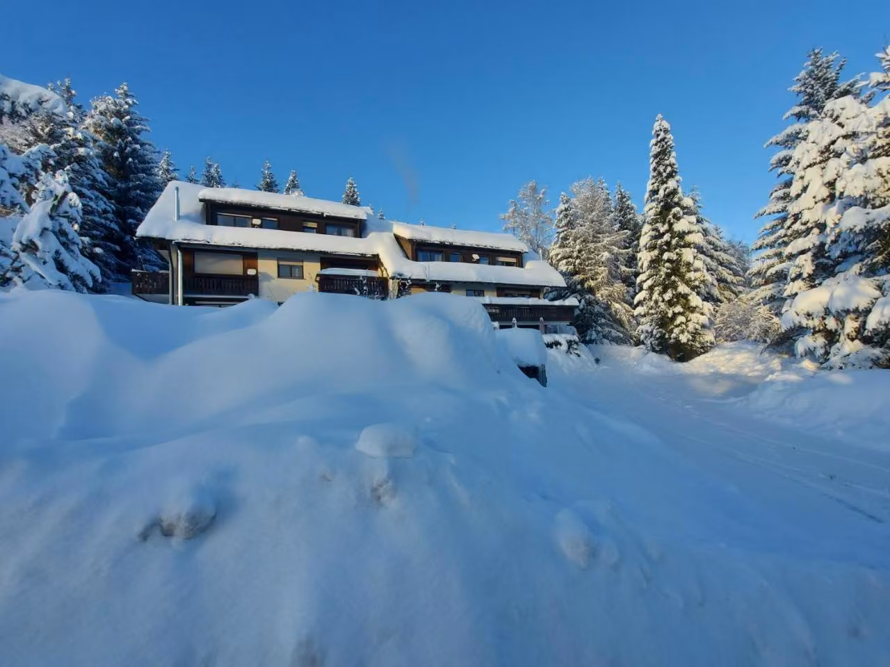 Bild der Unterkunft