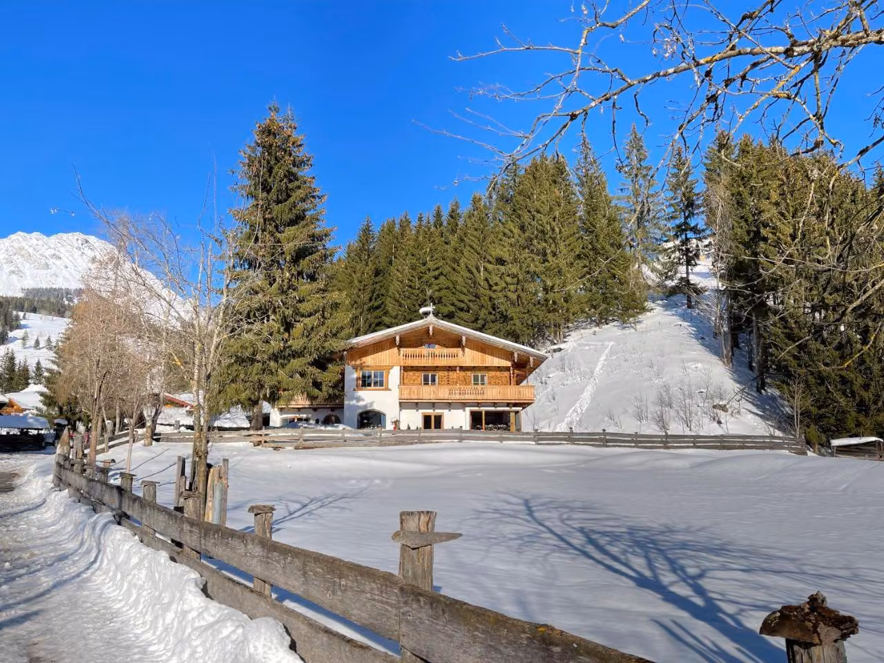 Bild der Unterkunft