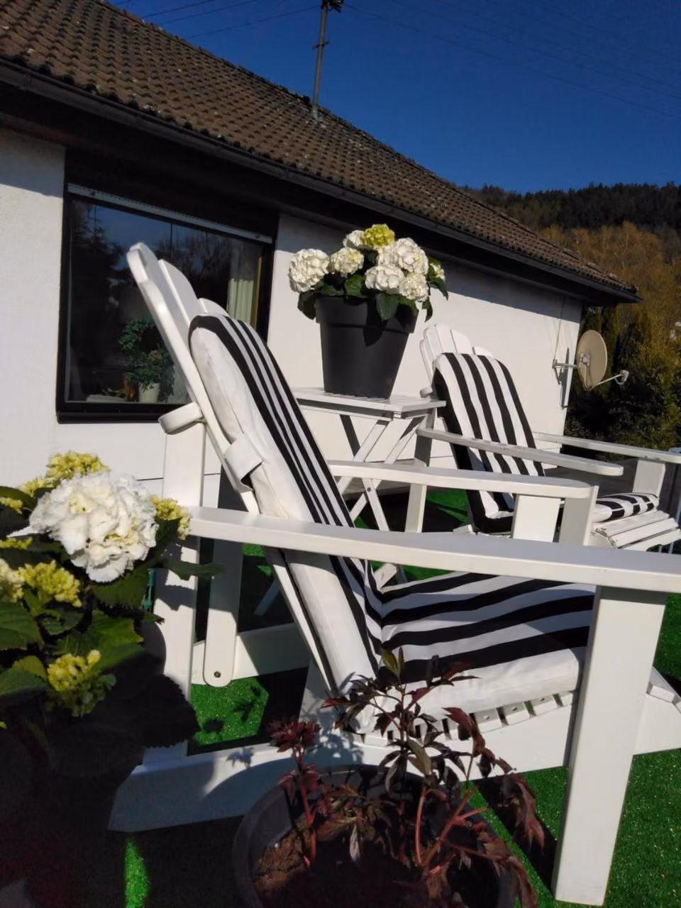 Bild der Unterkunft