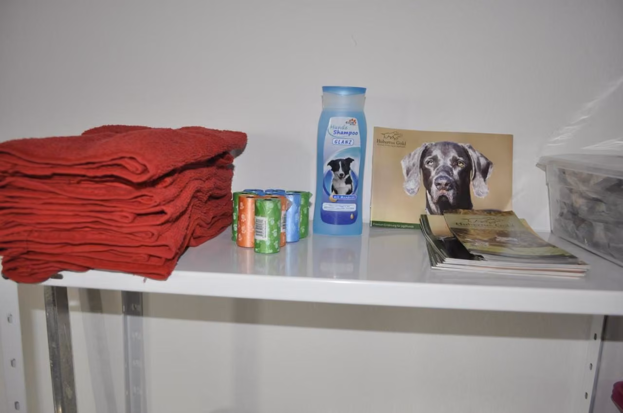Bild der Unterkunft