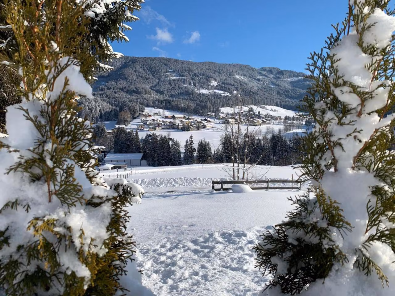 Bild der Unterkunft
