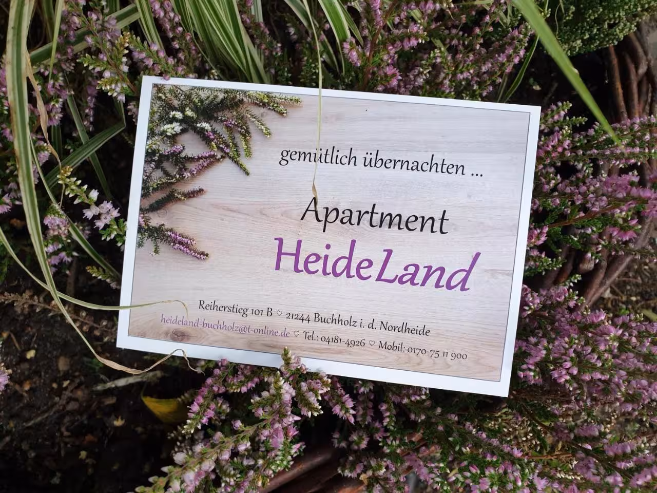 Bild der Unterkunft