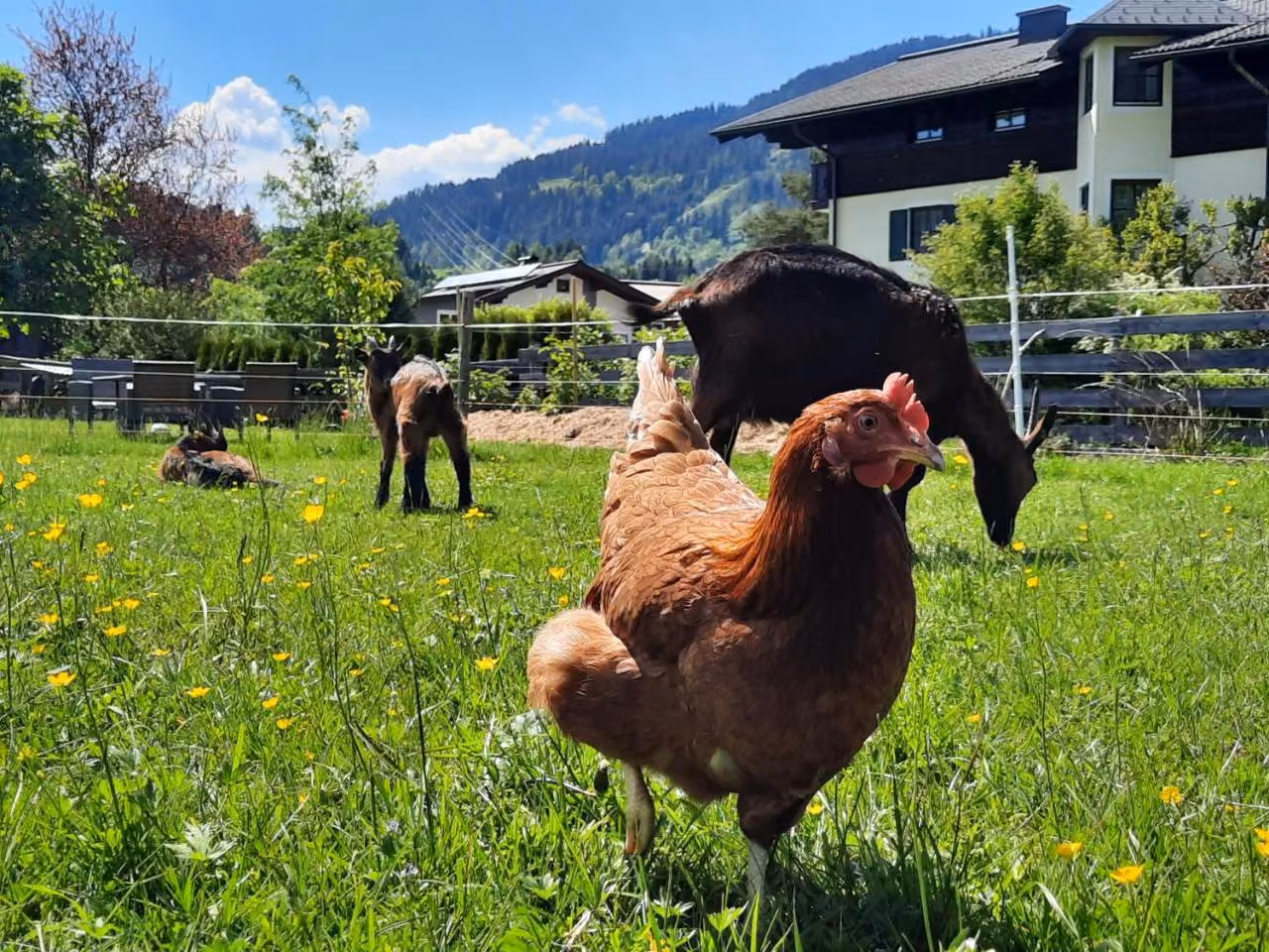 Bild der Unterkunft
