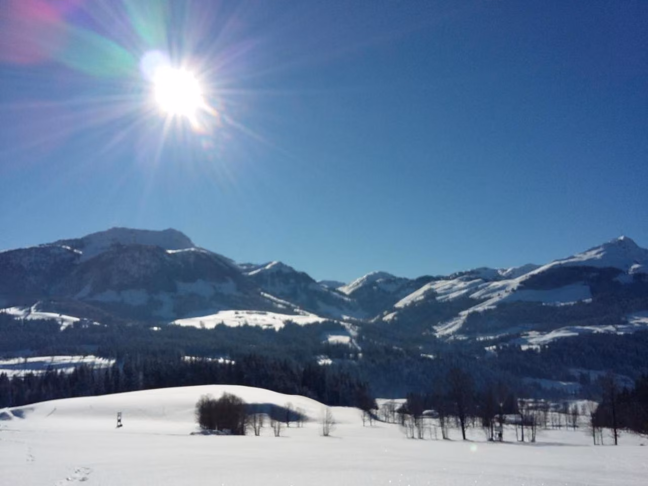 Bild der Unterkunft