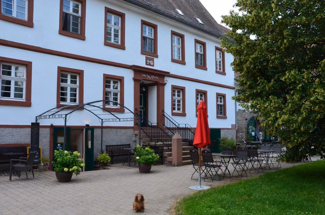 Bild der Unterkunft