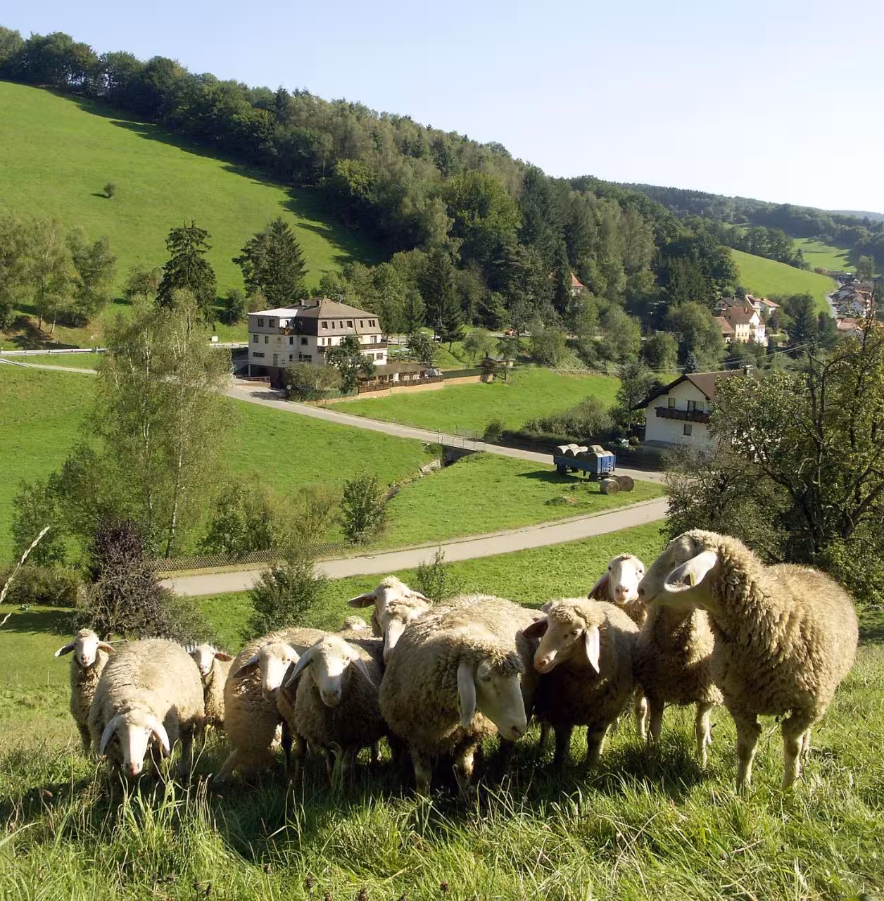 Bild der Unterkunft