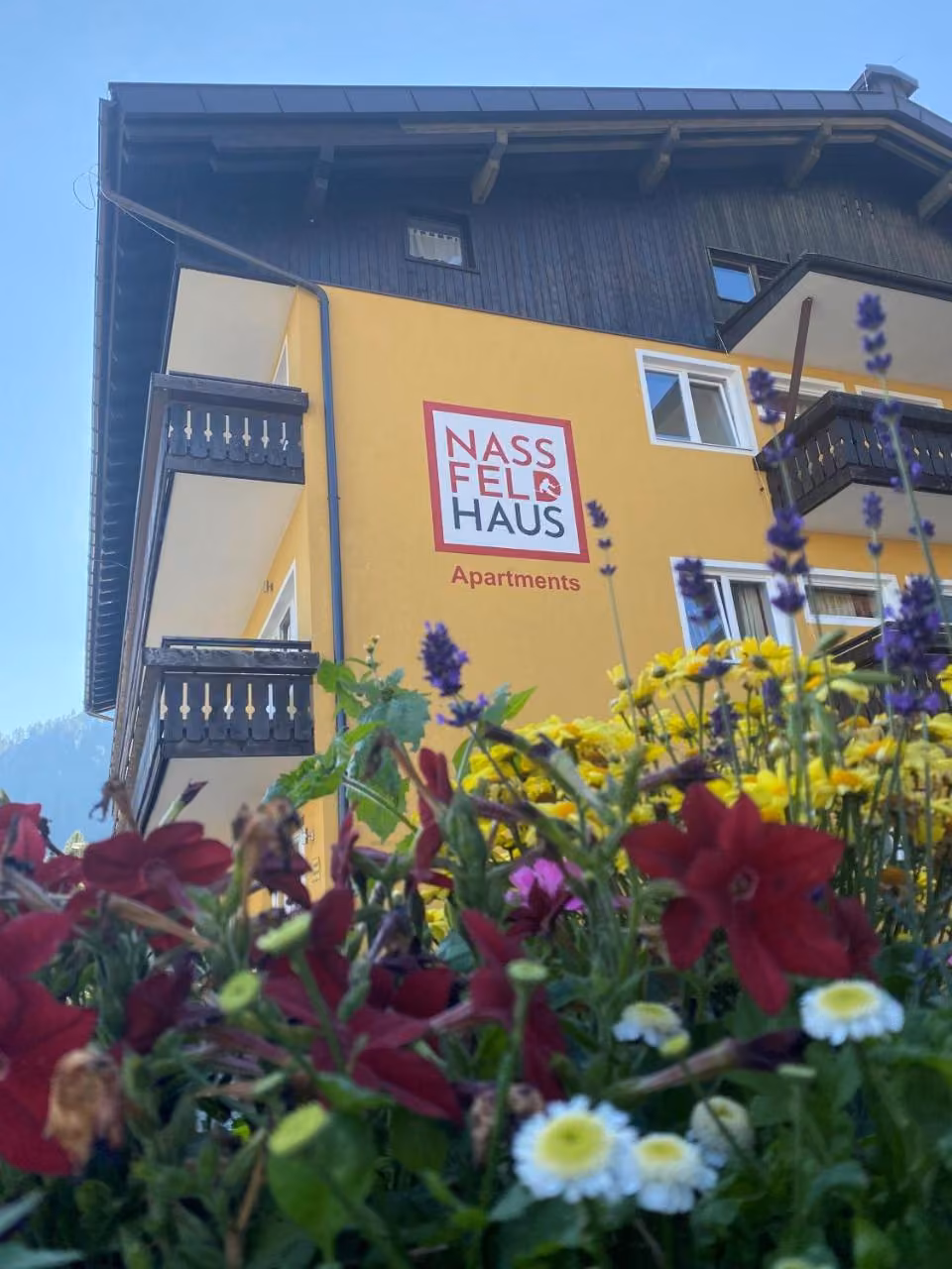 Bild der Unterkunft