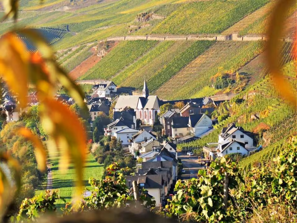 Bild der Unterkunft