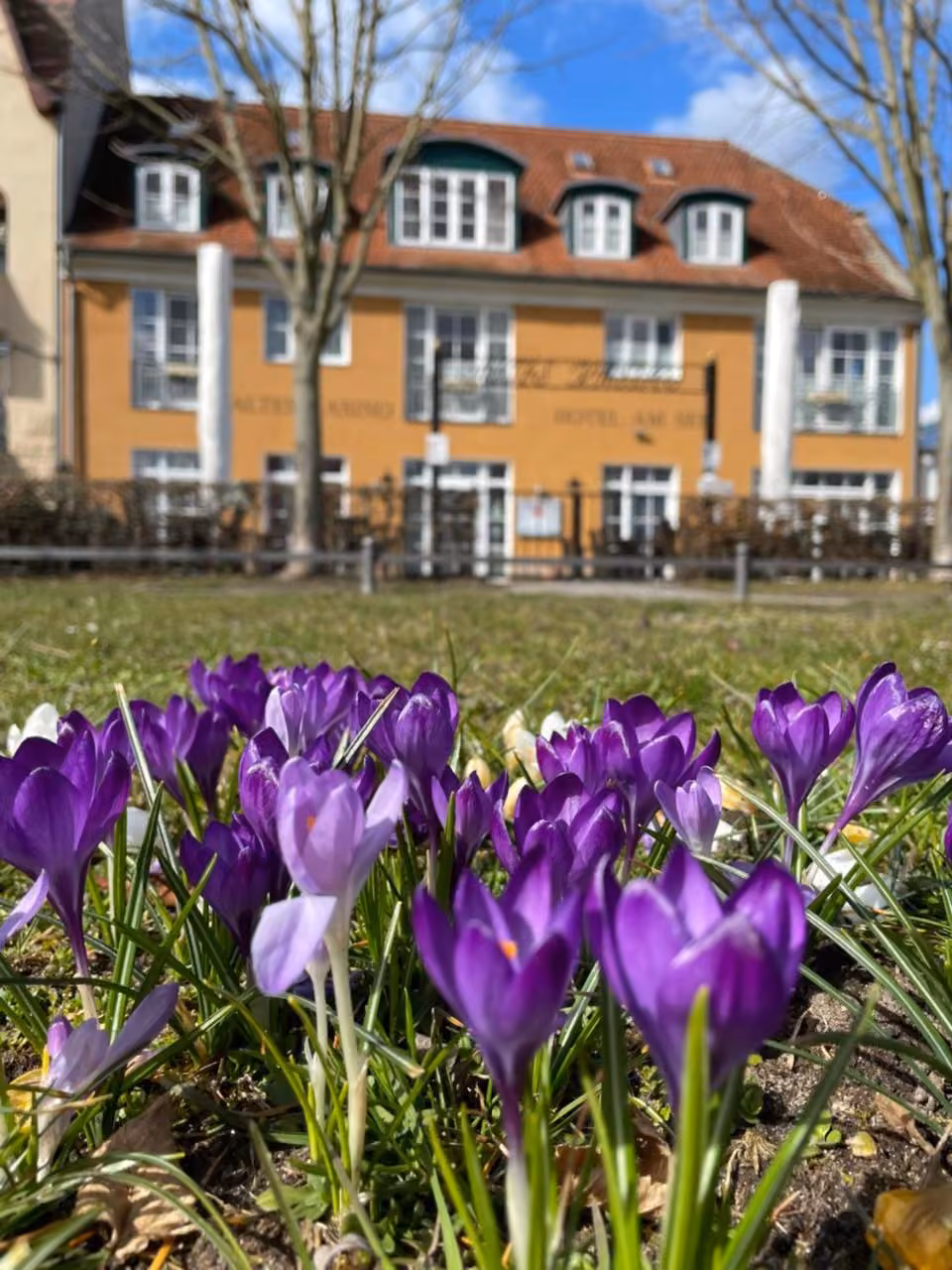 Bild der Unterkunft