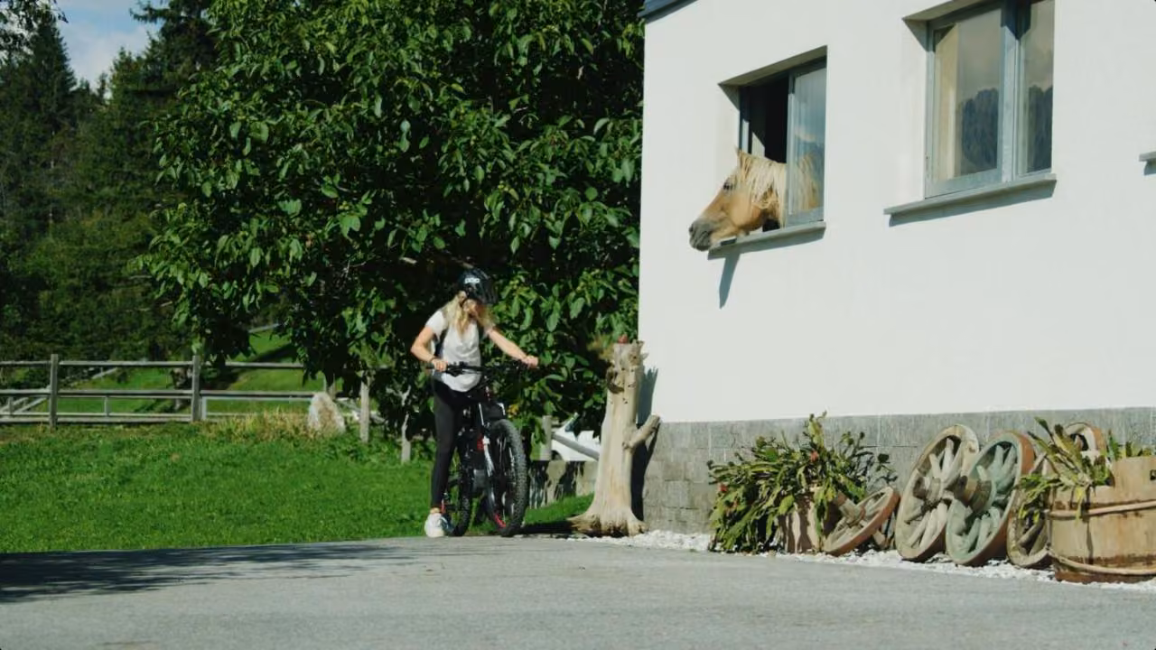 Bild der Unterkunft
