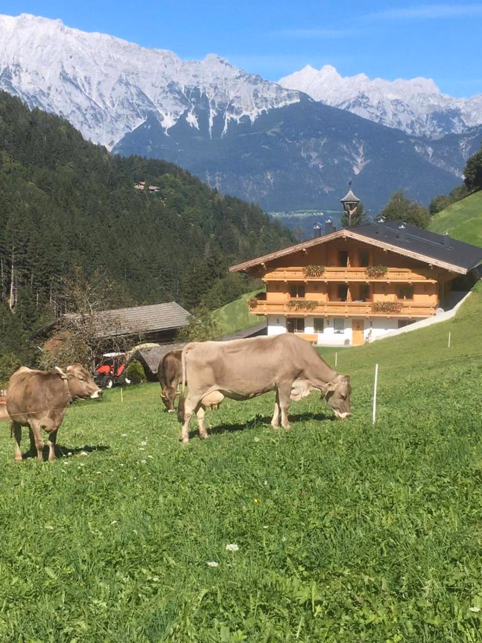 Bild der Unterkunft
