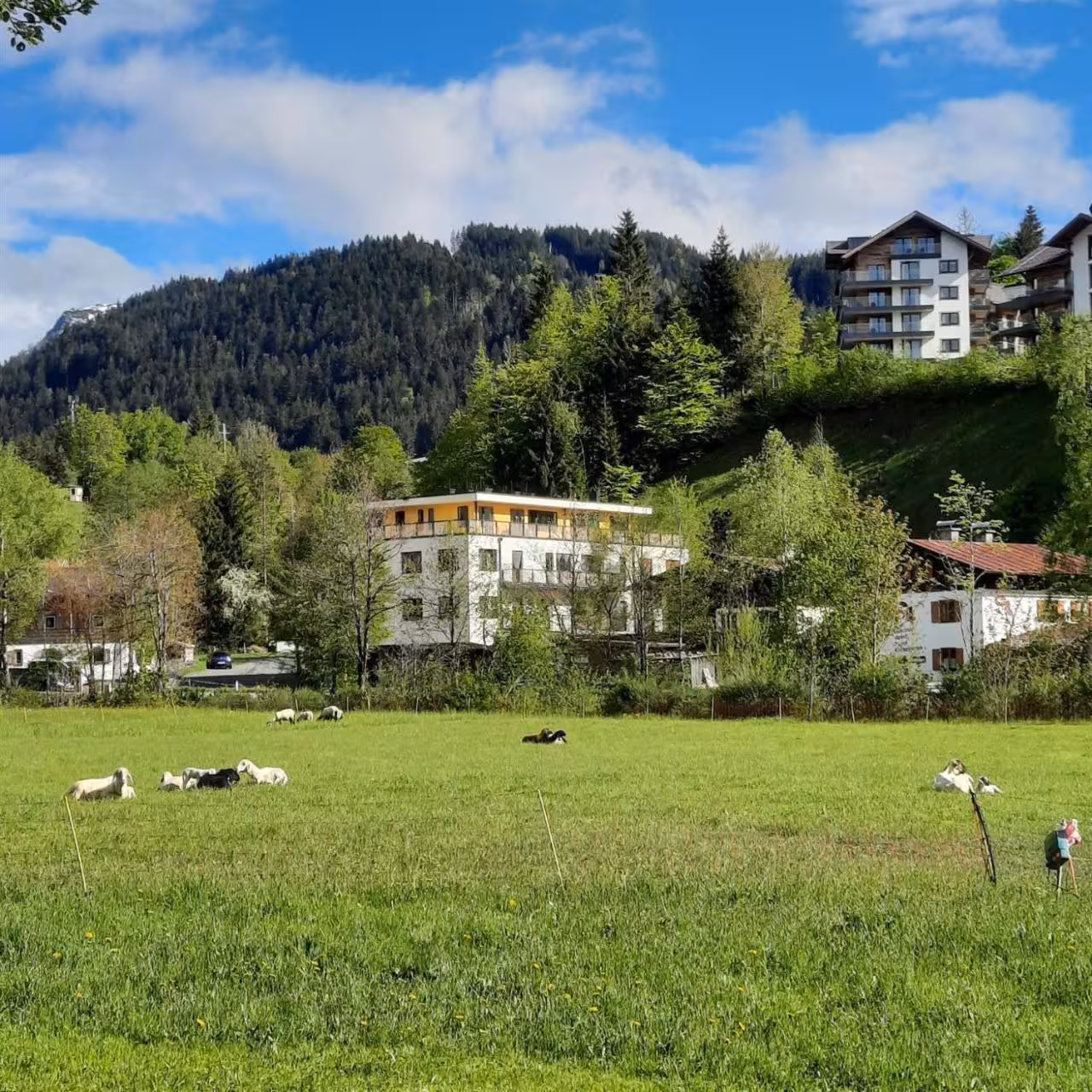 Bild der Unterkunft