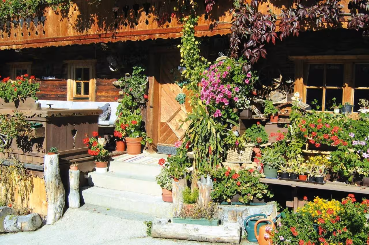 Bild der Unterkunft
