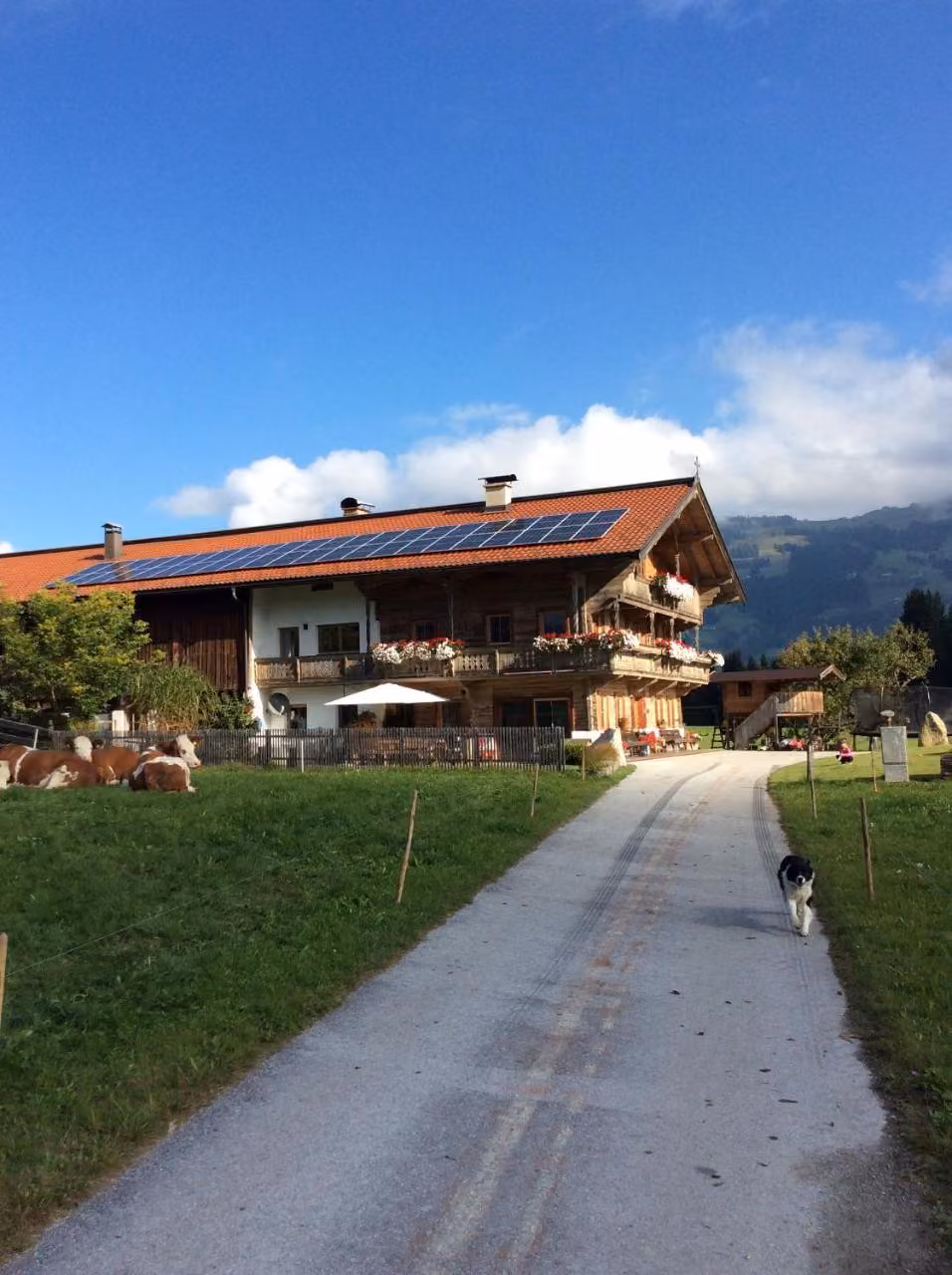 Bild der Unterkunft