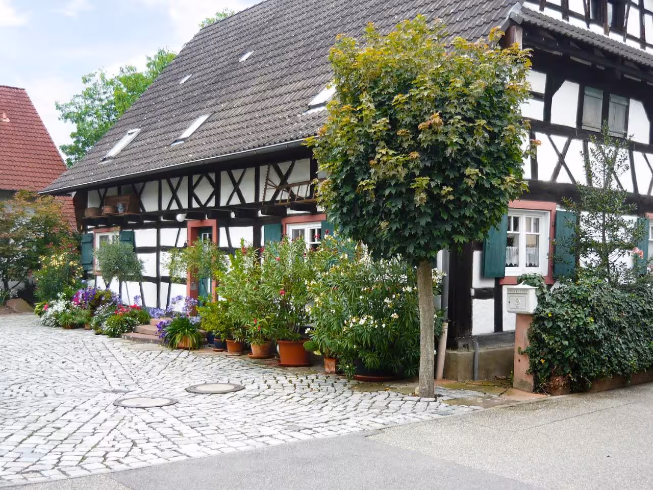 Bild der Unterkunft