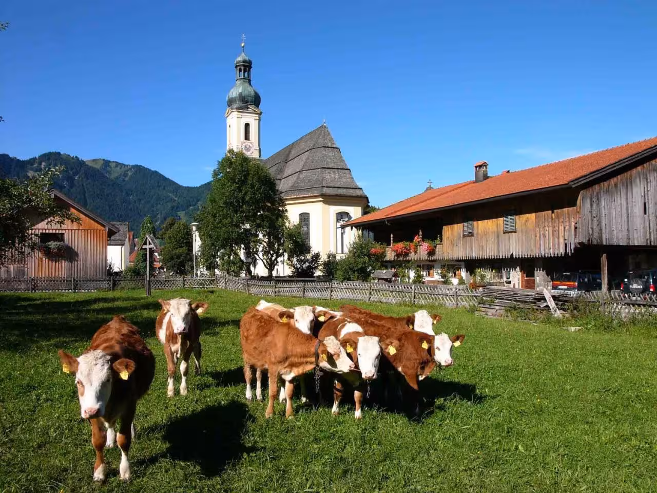Bild der Unterkunft