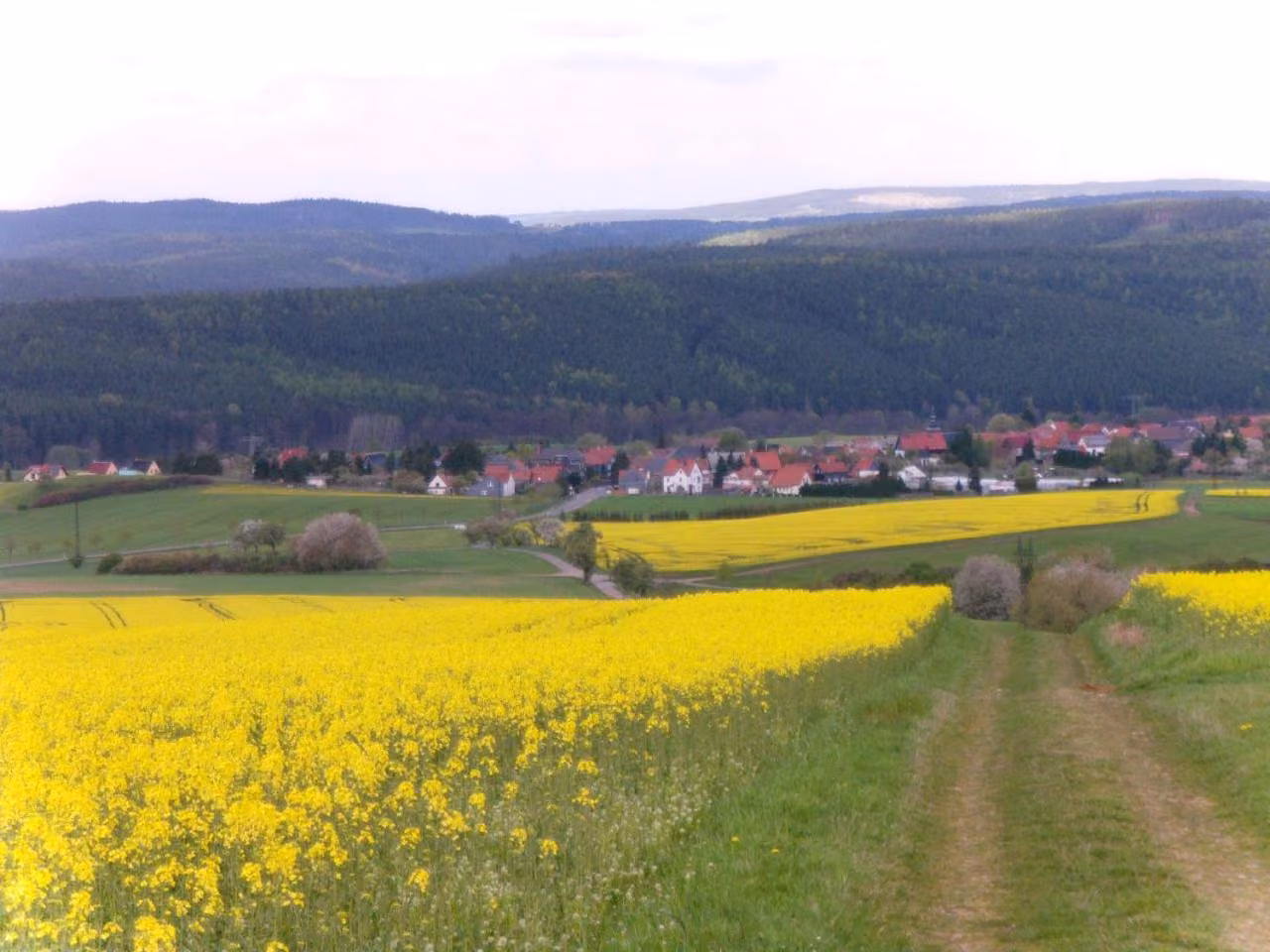 Bild der Unterkunft