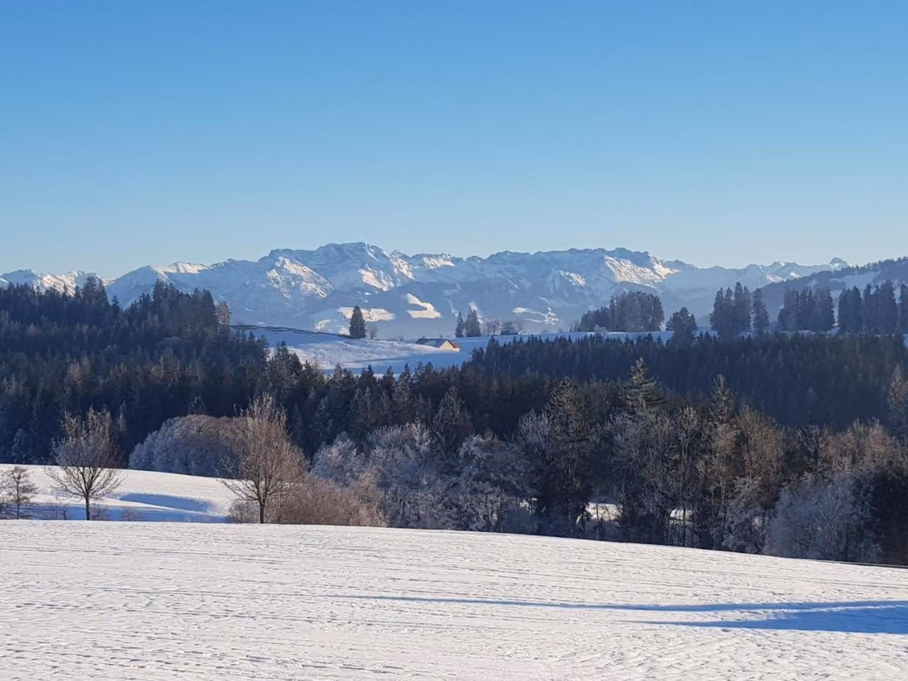 Bild der Unterkunft