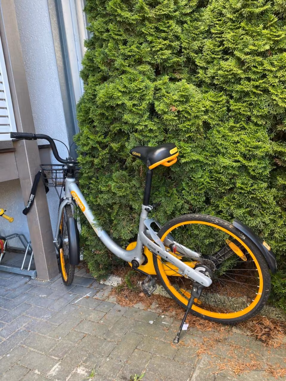 Bild der Unterkunft