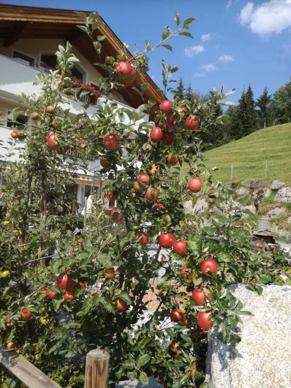 Bild der Unterkunft