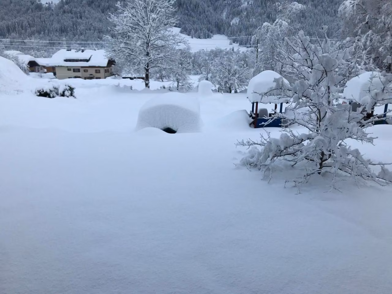 Bild der Unterkunft