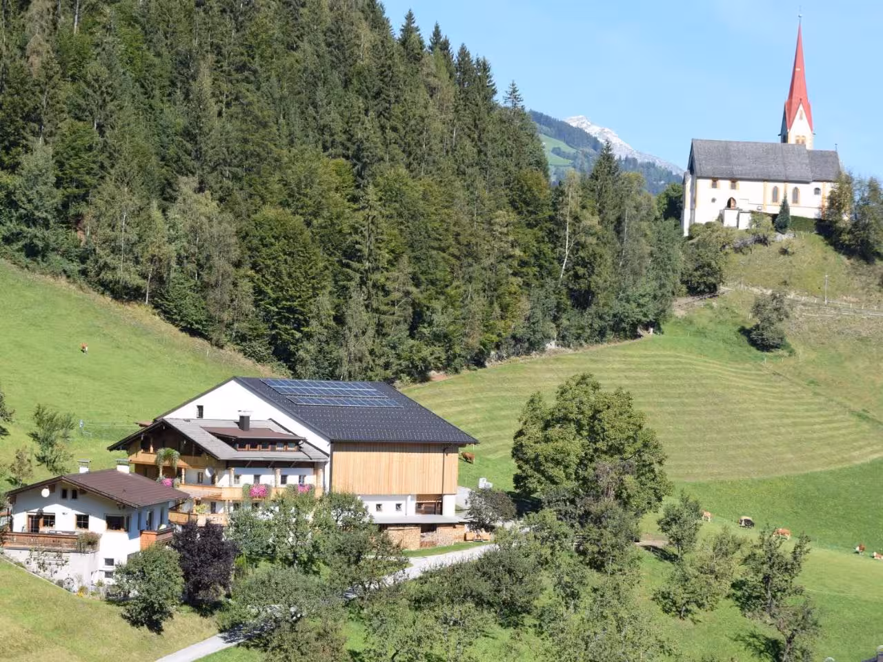 Bild der Unterkunft