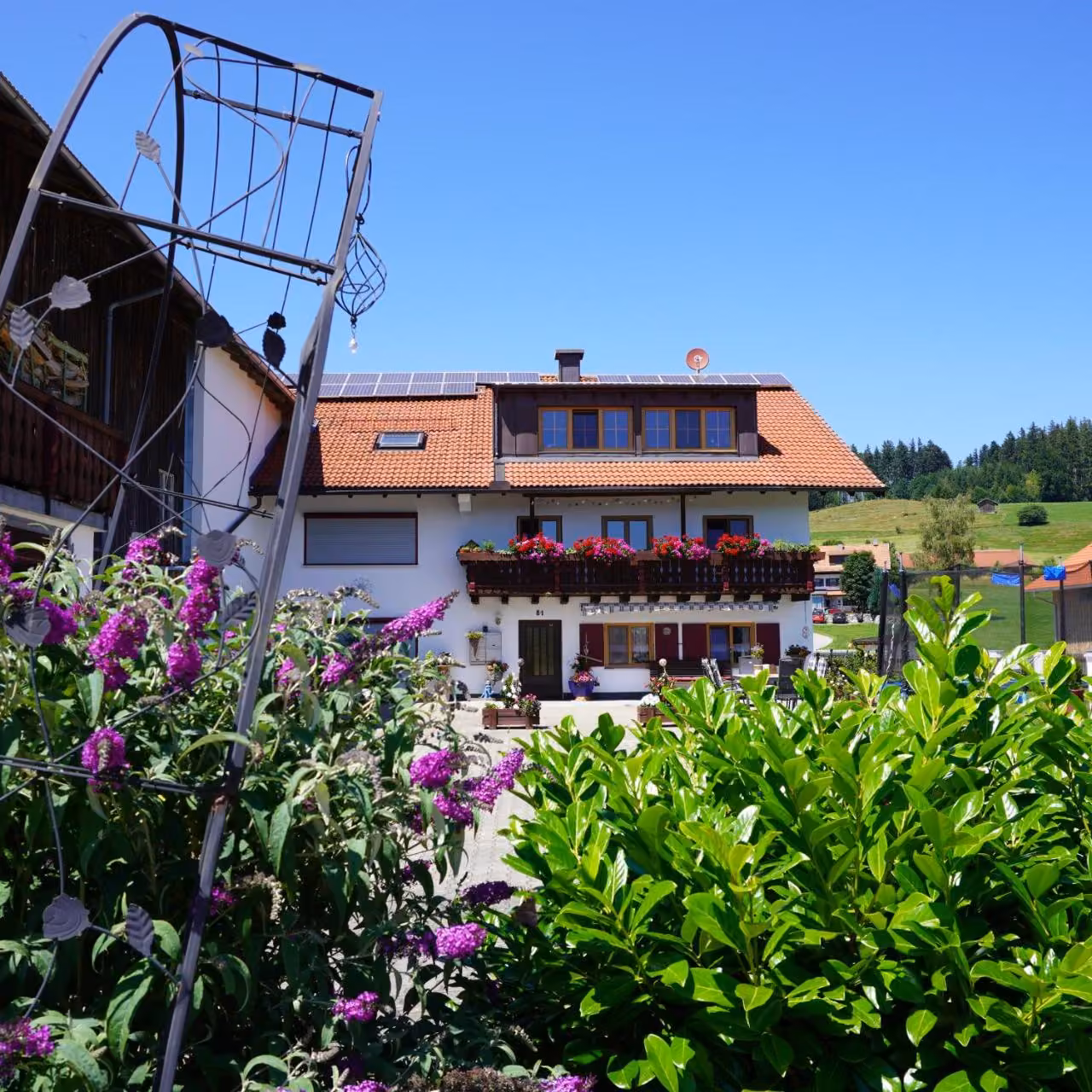 Bild der Unterkunft