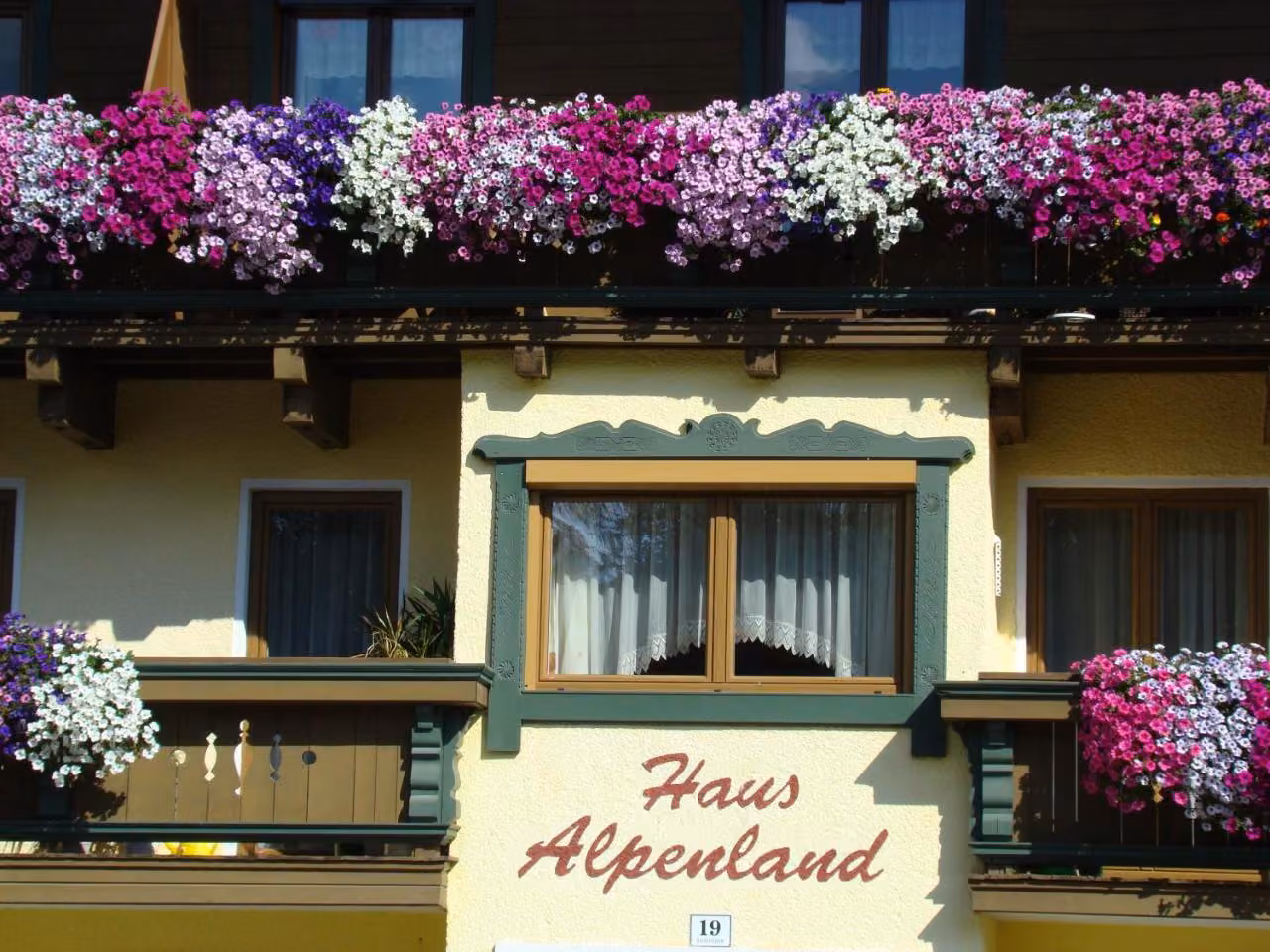 Bild der Unterkunft