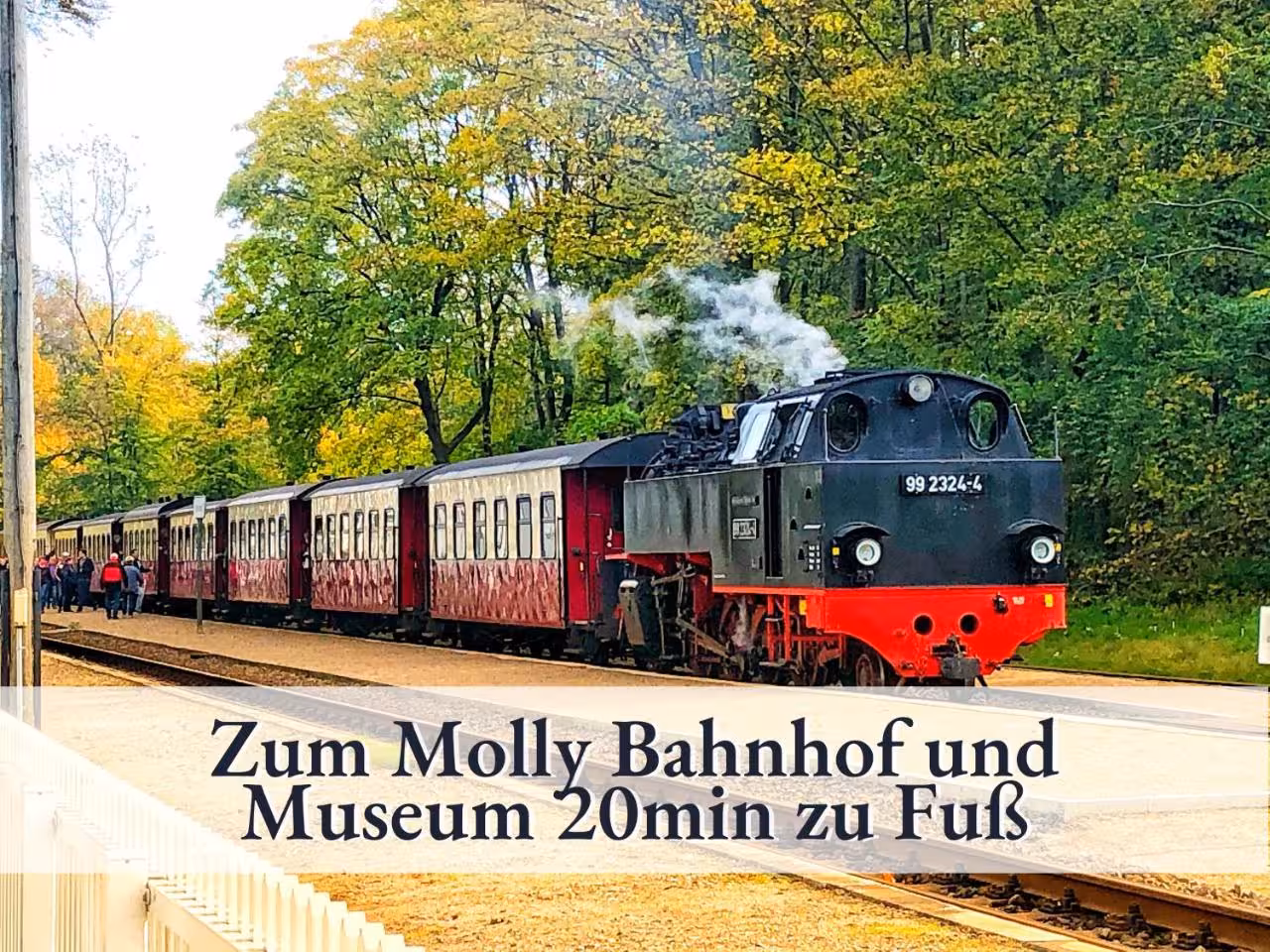 Bild der Unterkunft