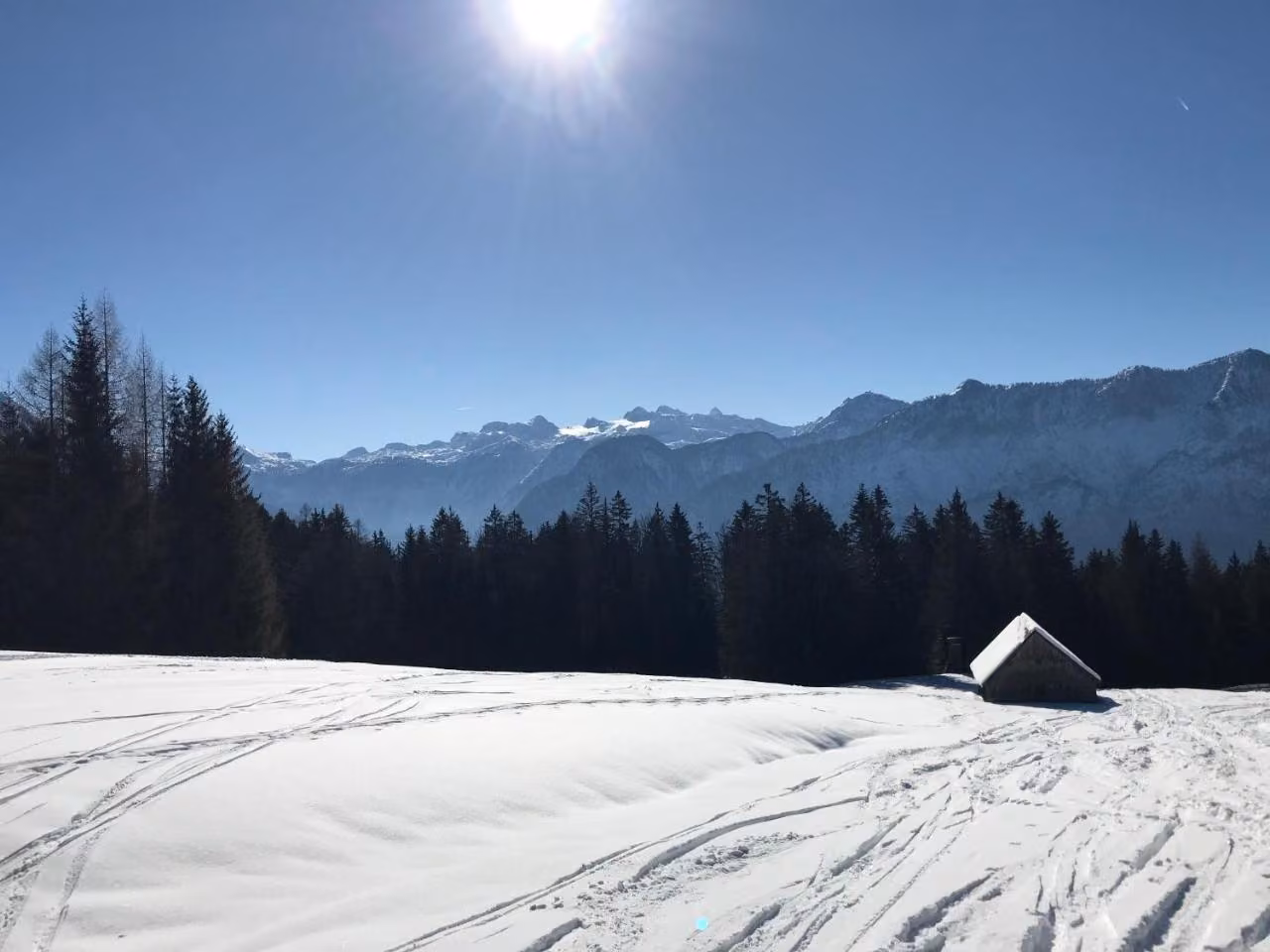Bild der Unterkunft