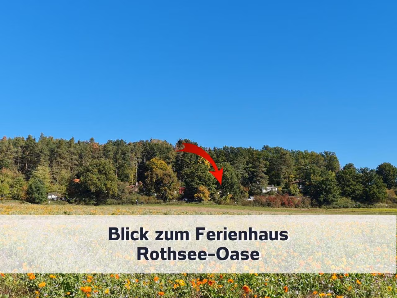Bild der Unterkunft