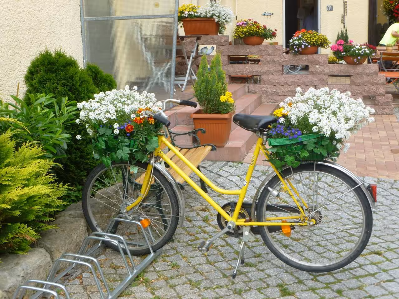 Bild der Unterkunft