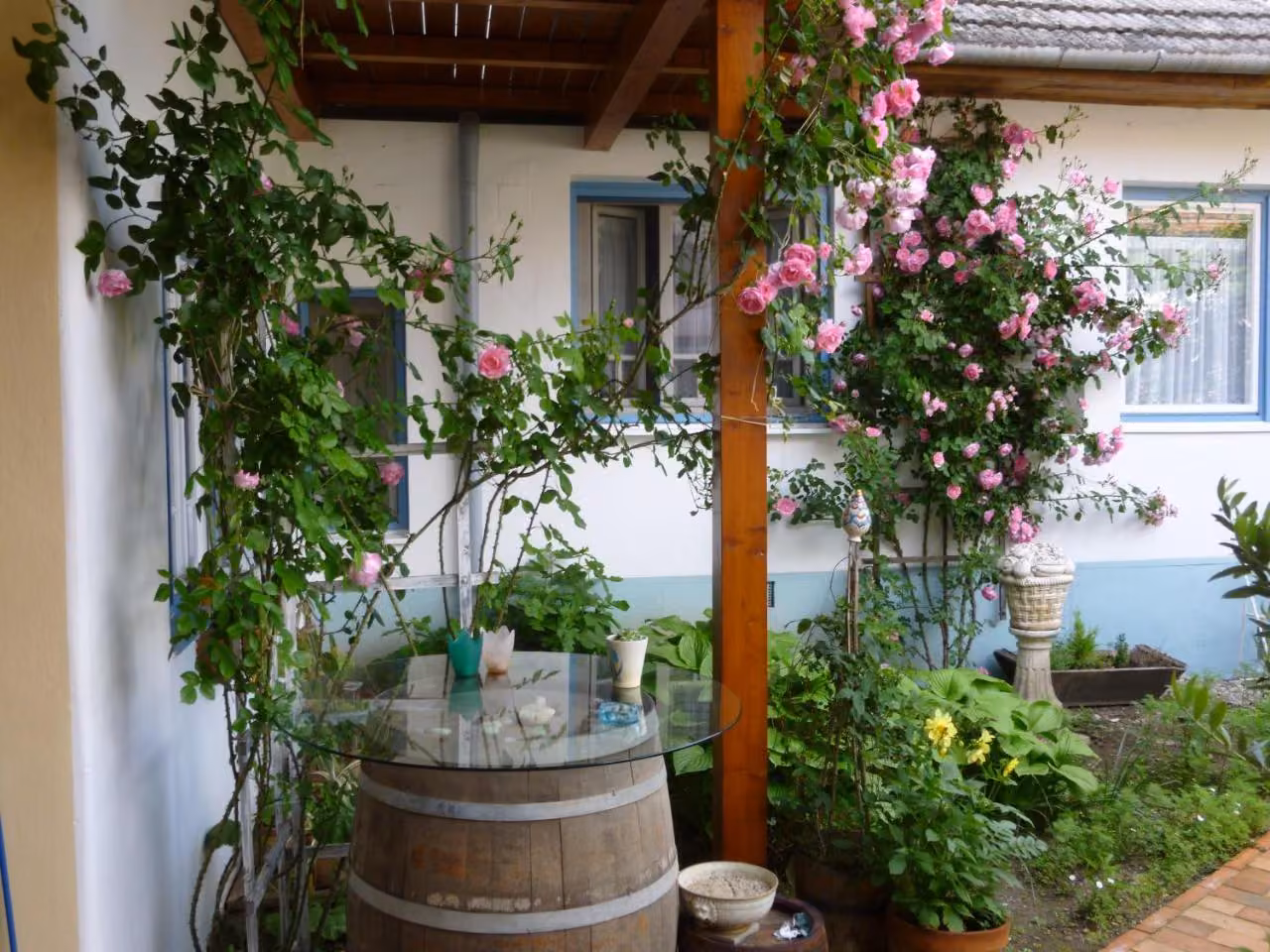 Bild der Unterkunft