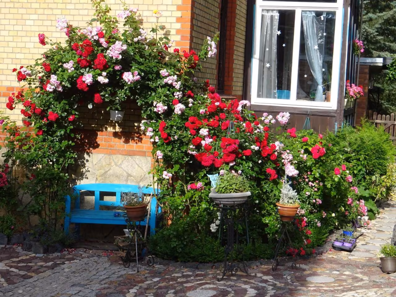 Bild der Unterkunft