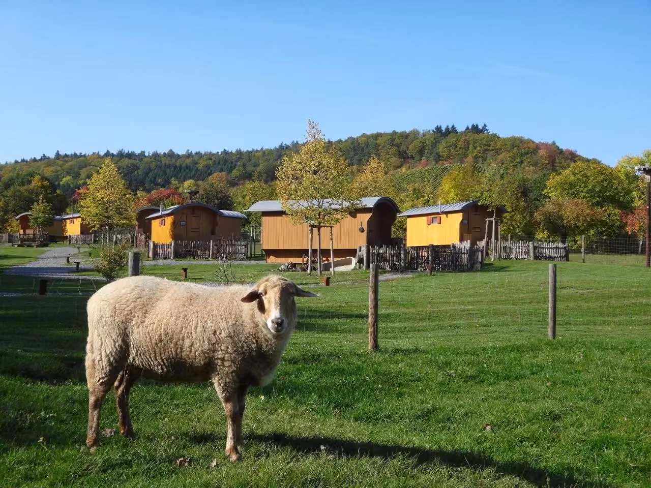 Bild der Unterkunft