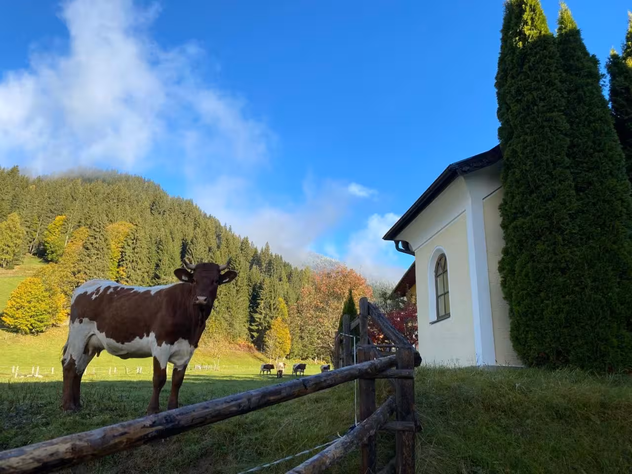 Bild der Unterkunft