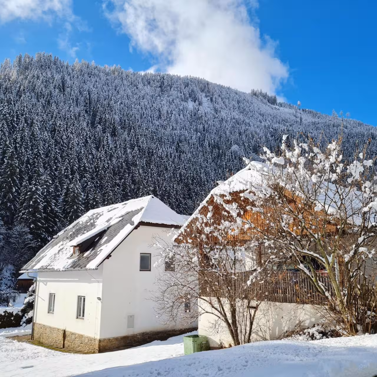 Bild der Unterkunft