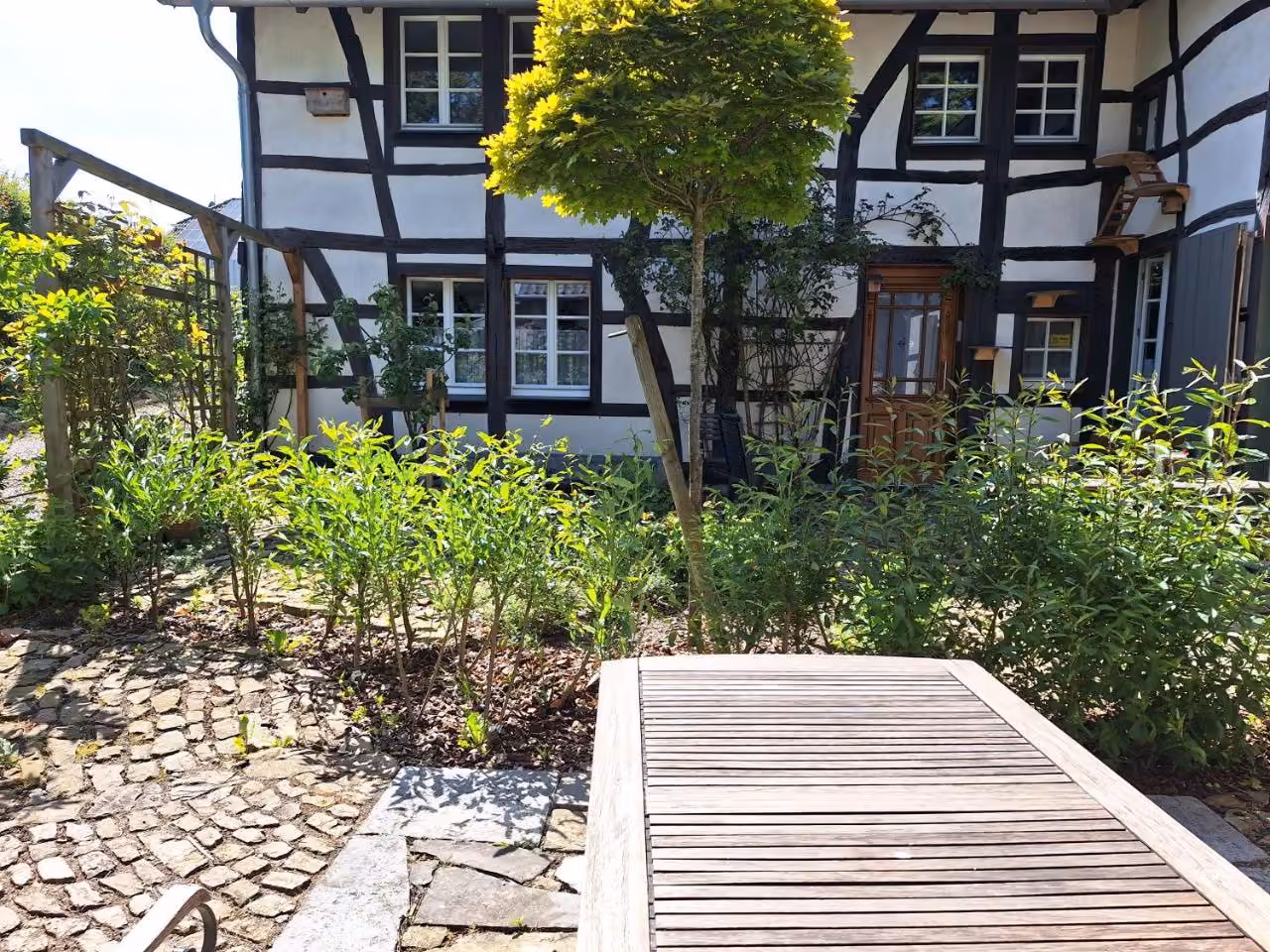 Bild der Unterkunft
