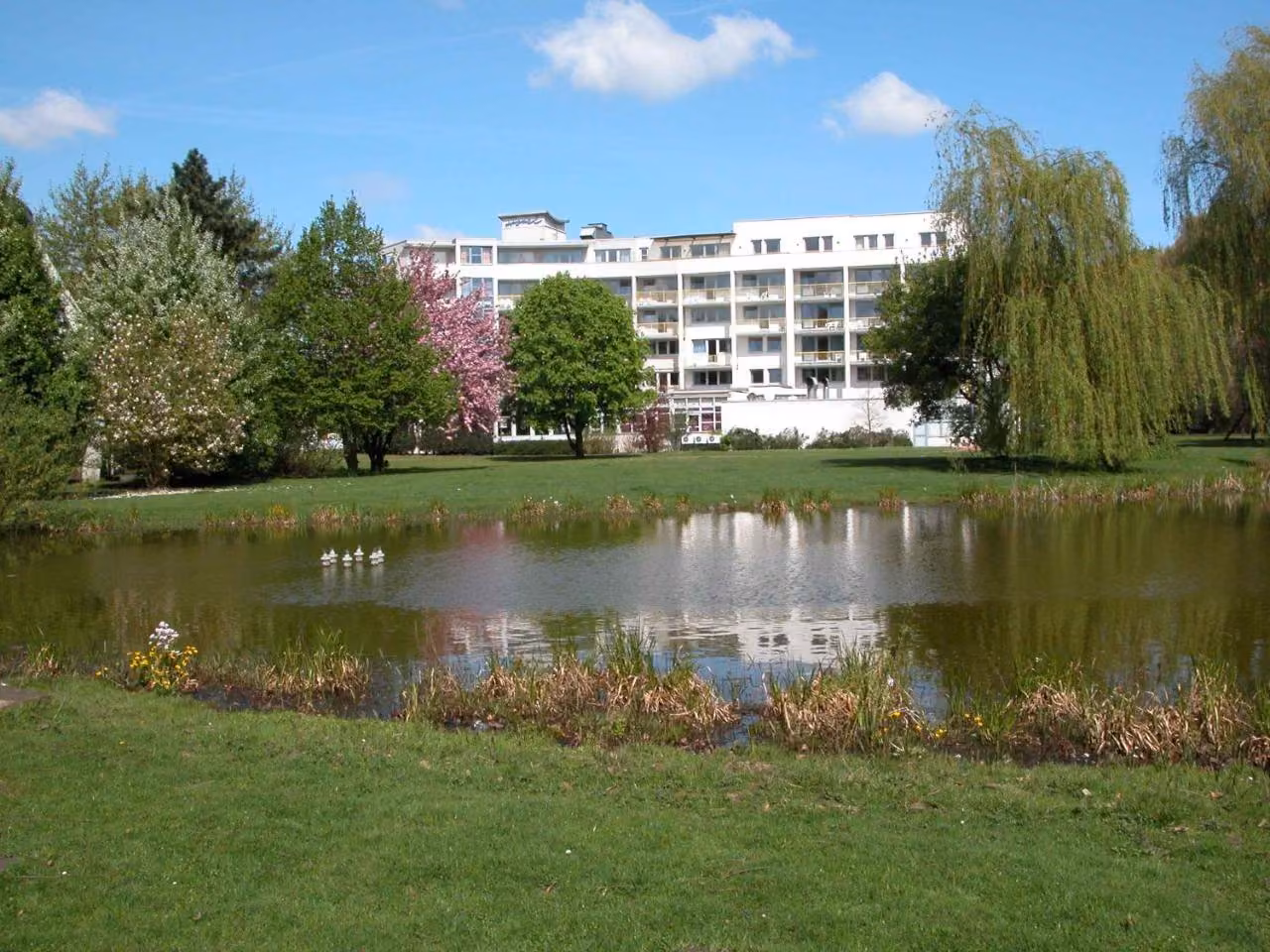 Bild der Unterkunft