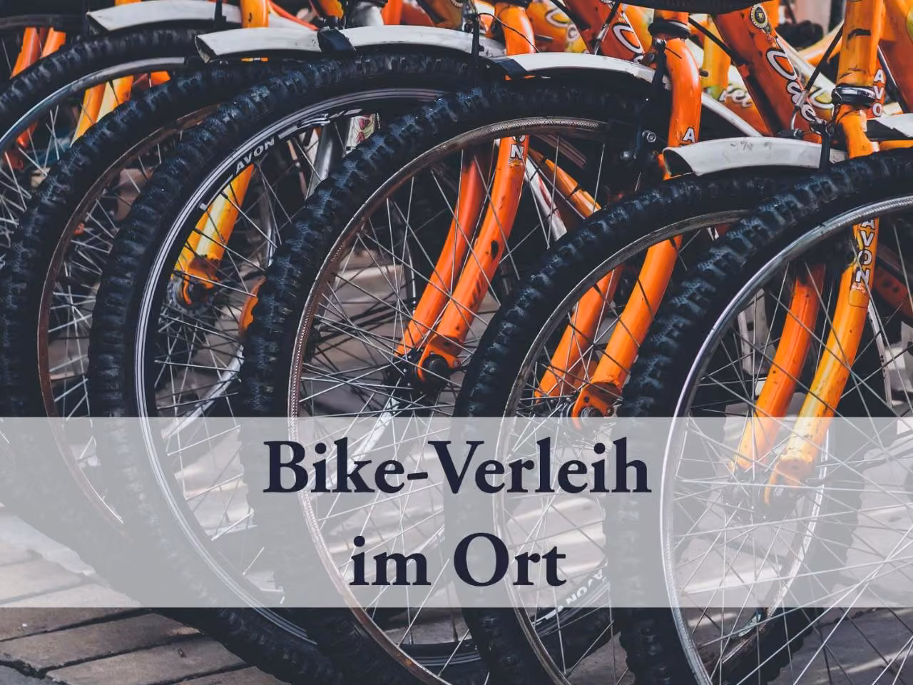 Bild der Unterkunft