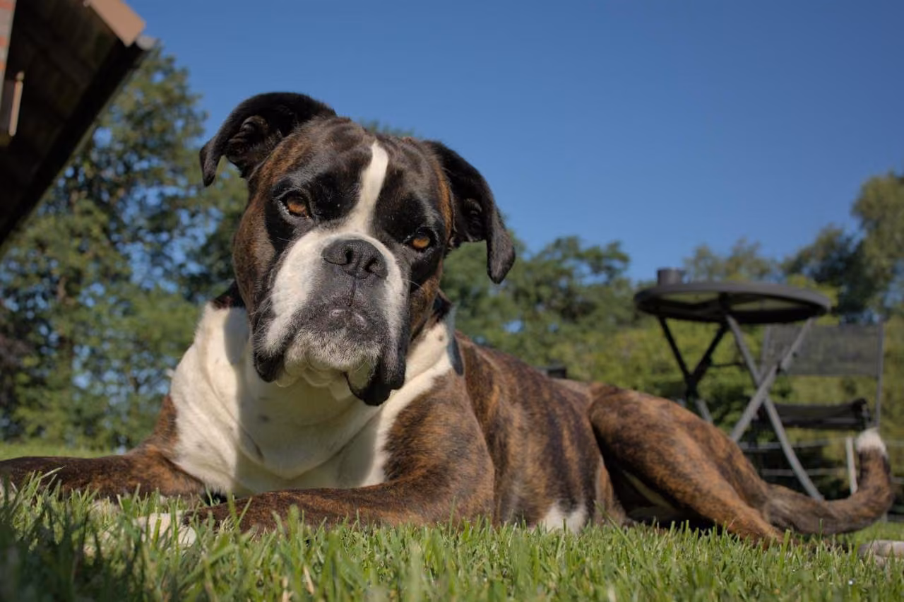 Bild der Unterkunft