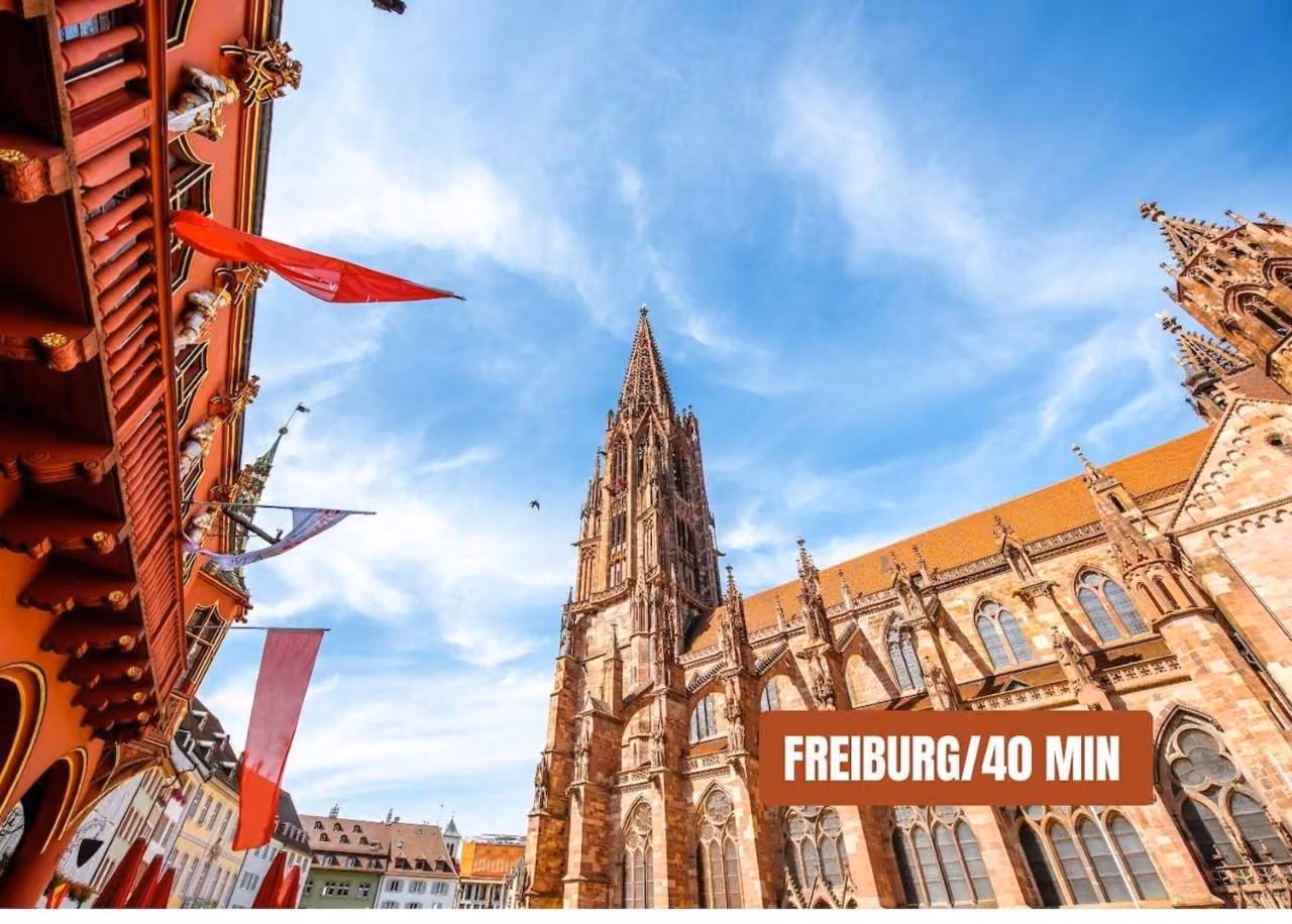 Bild der Unterkunft